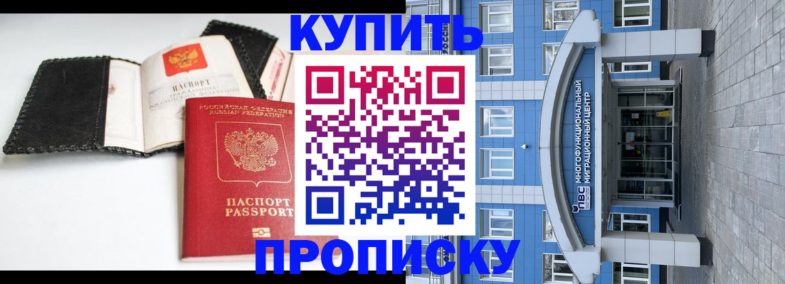 прописка гарантия в Ковдоре